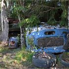 Bastnäs - Im Wald der 1000 toten Autos