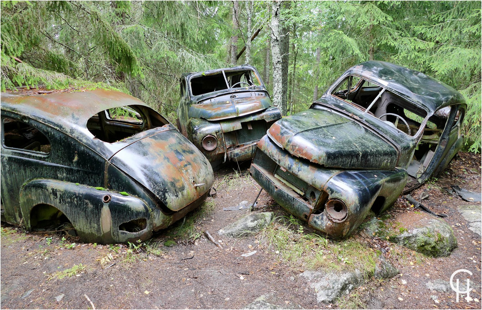 Bastnäs - Im Wald der toten Autos (2)