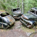 Bastnäs - Im Wald der toten Autos (2)