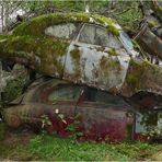 Bastnäs - Im Wald der toten Autos (3)
