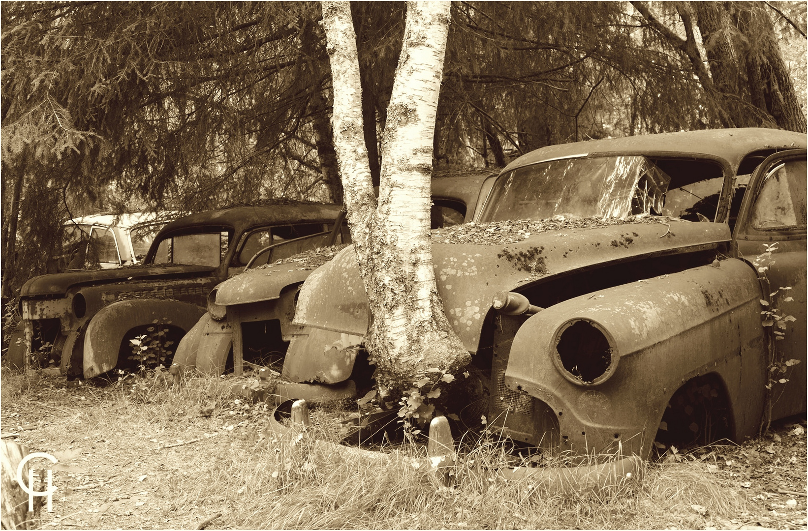 Bastnäs - Im Wald der toten Autos (4)