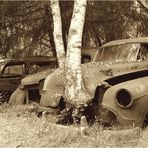 Bastnäs - Im Wald der toten Autos (4)