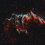 Bat Nebula NGC6995
