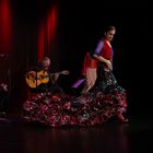 Bata de Cola Flamenco