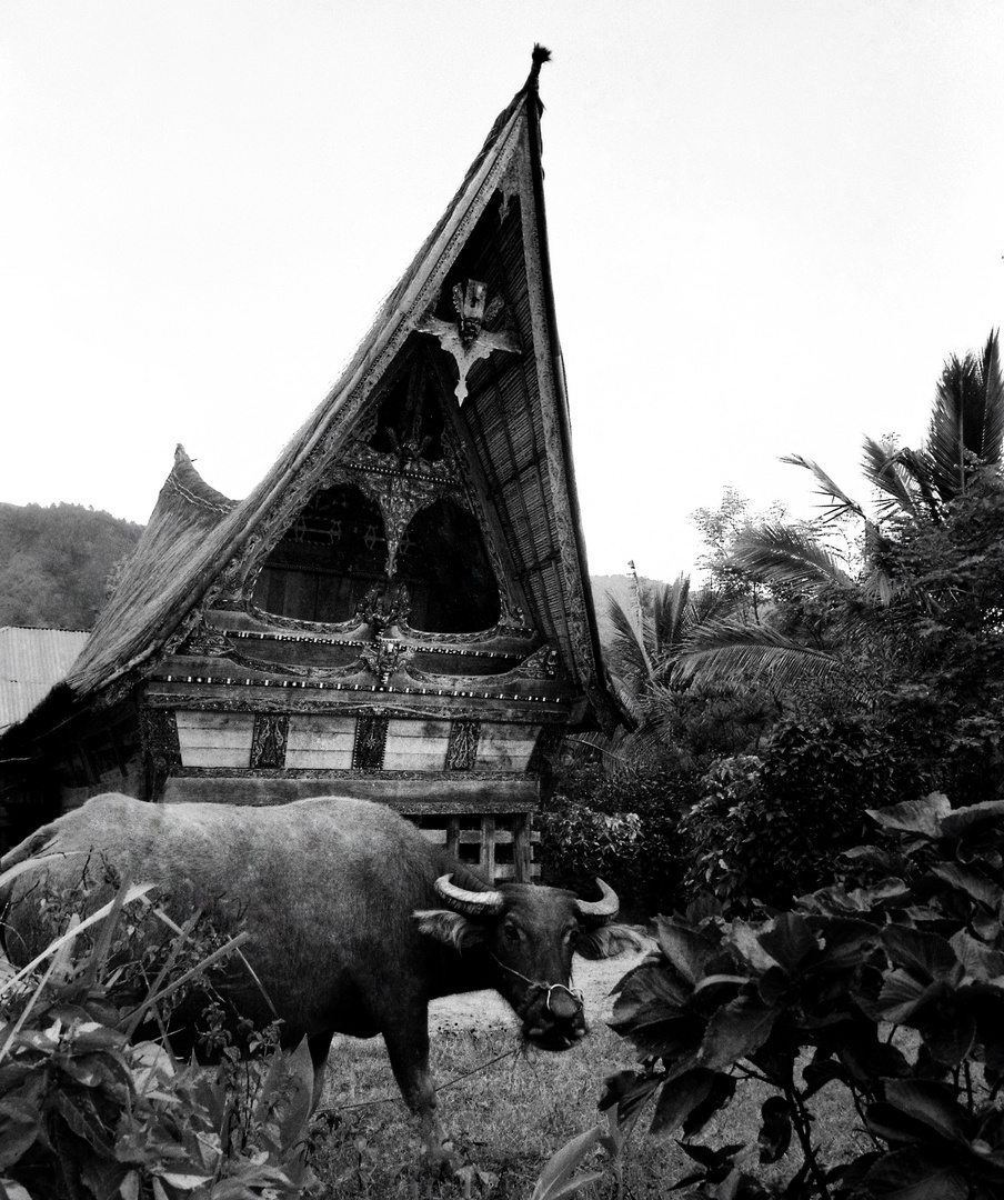 Batak Haus am Toba See, Sumatra