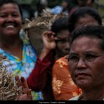 batak wedding - 03