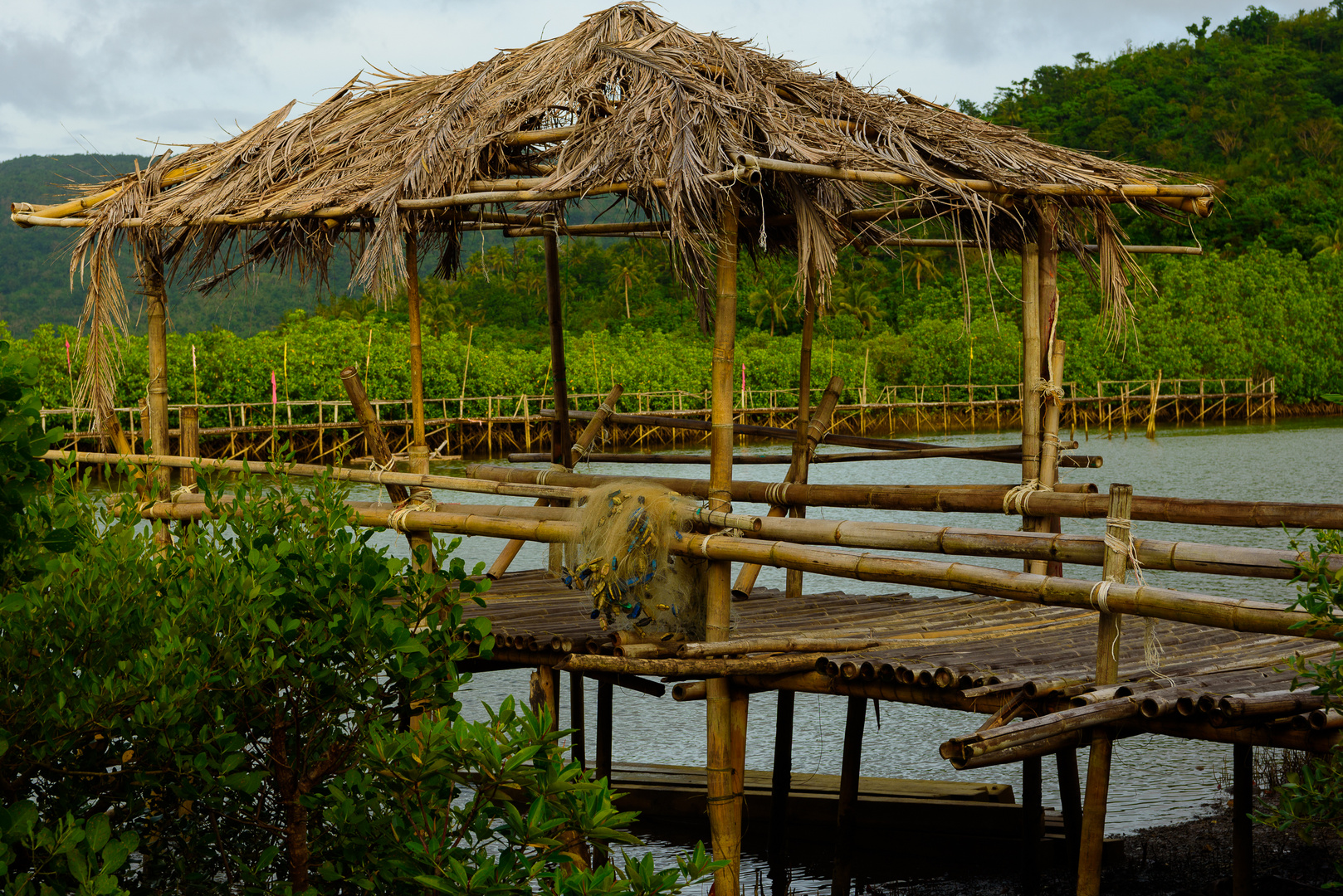 Batalay Mangrove Eco Park