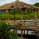 Batalay Mangrove Eco Park