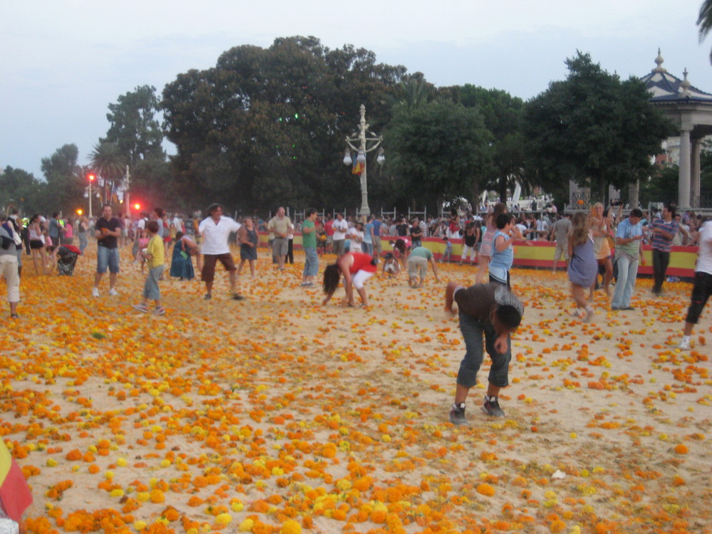 Batalla de flores