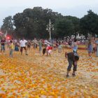 Batalla de flores