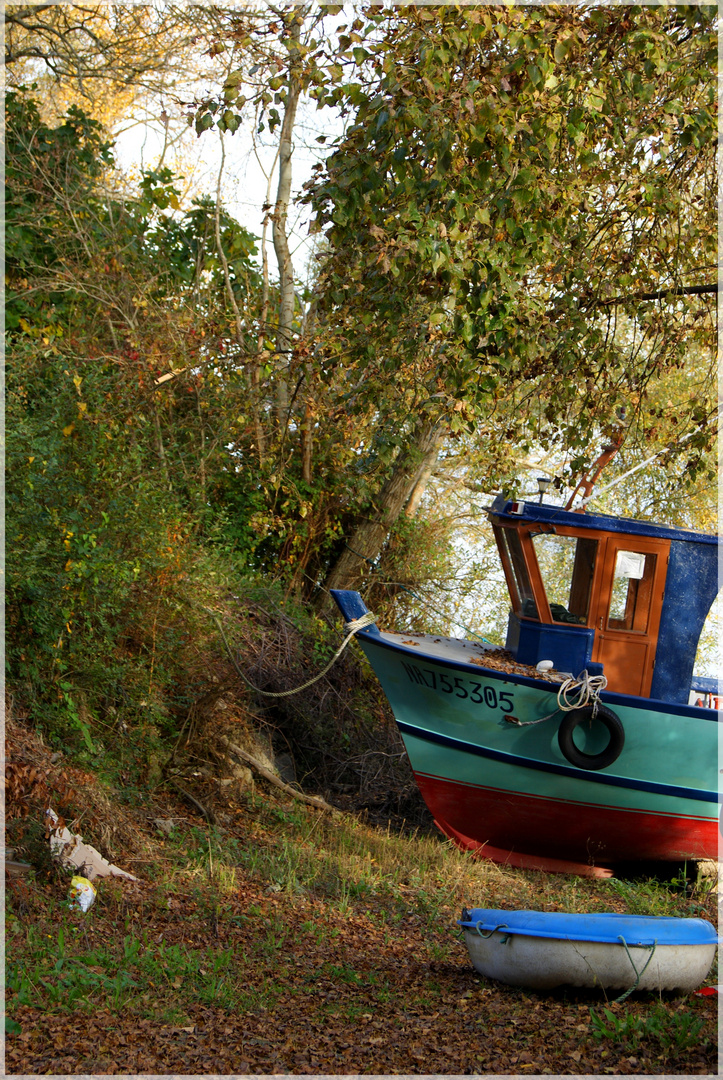 Bateau