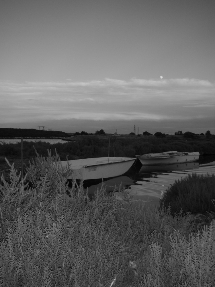 bateau