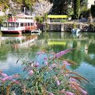 Bateau à aubes sur l'Isère