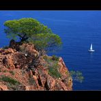 Provence-Alpes-Côte d'Azur