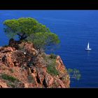 bateau à voiles