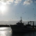 Bateau de pêche, Martigues, France.