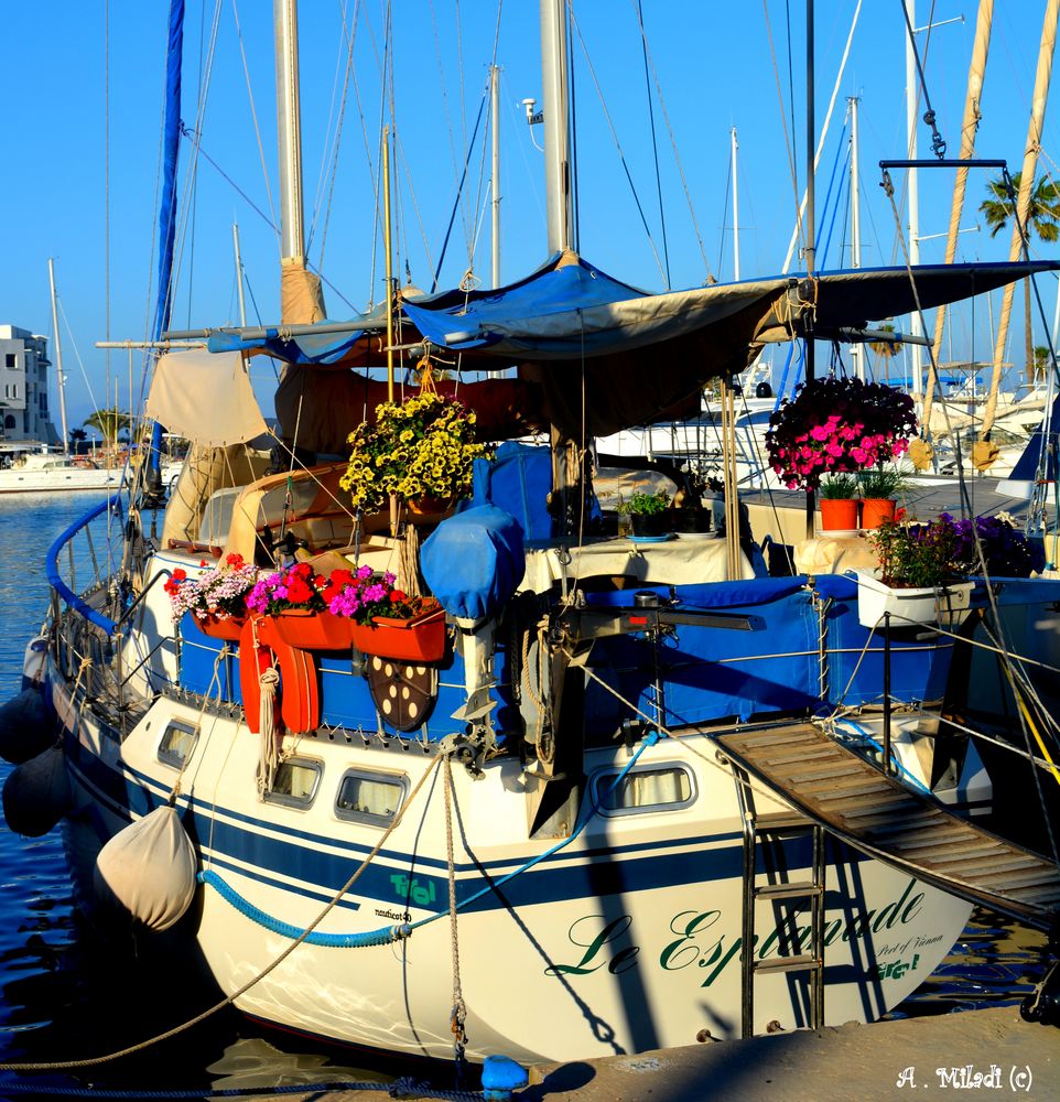 Bateau fleuri.