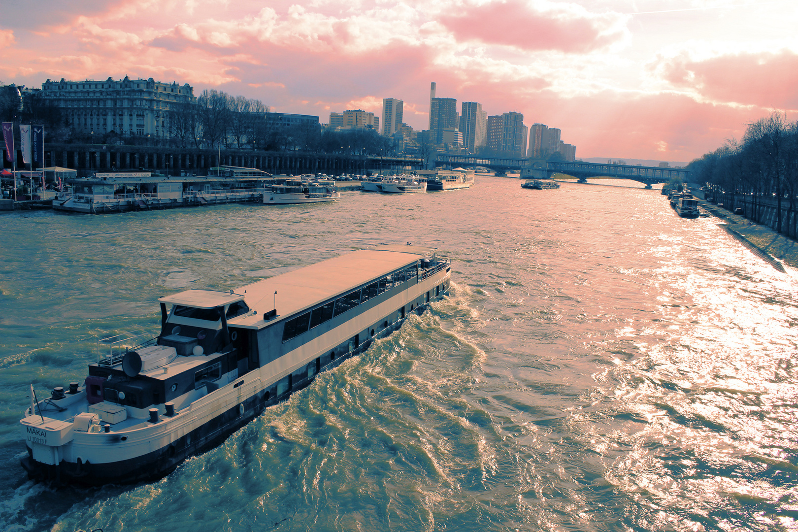 bateau mouche steampunk Paris