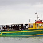 Bateau ramenant les plongeurs