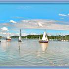 Bateaux à Foleux