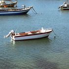 Bateaux a Viana du Château