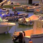 Bateaux au port 