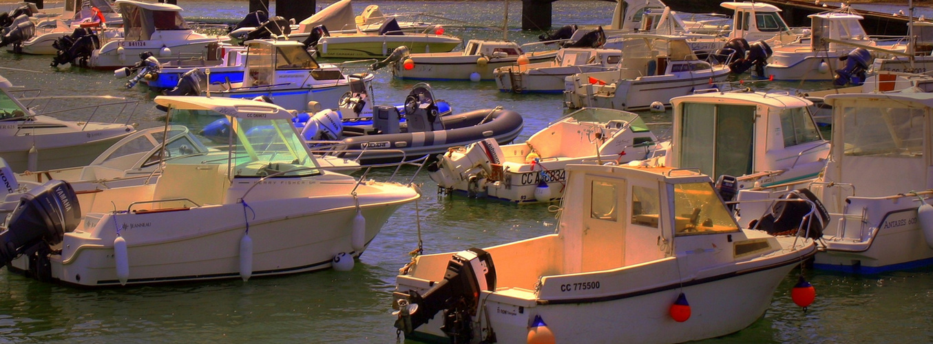 Bateaux au port 