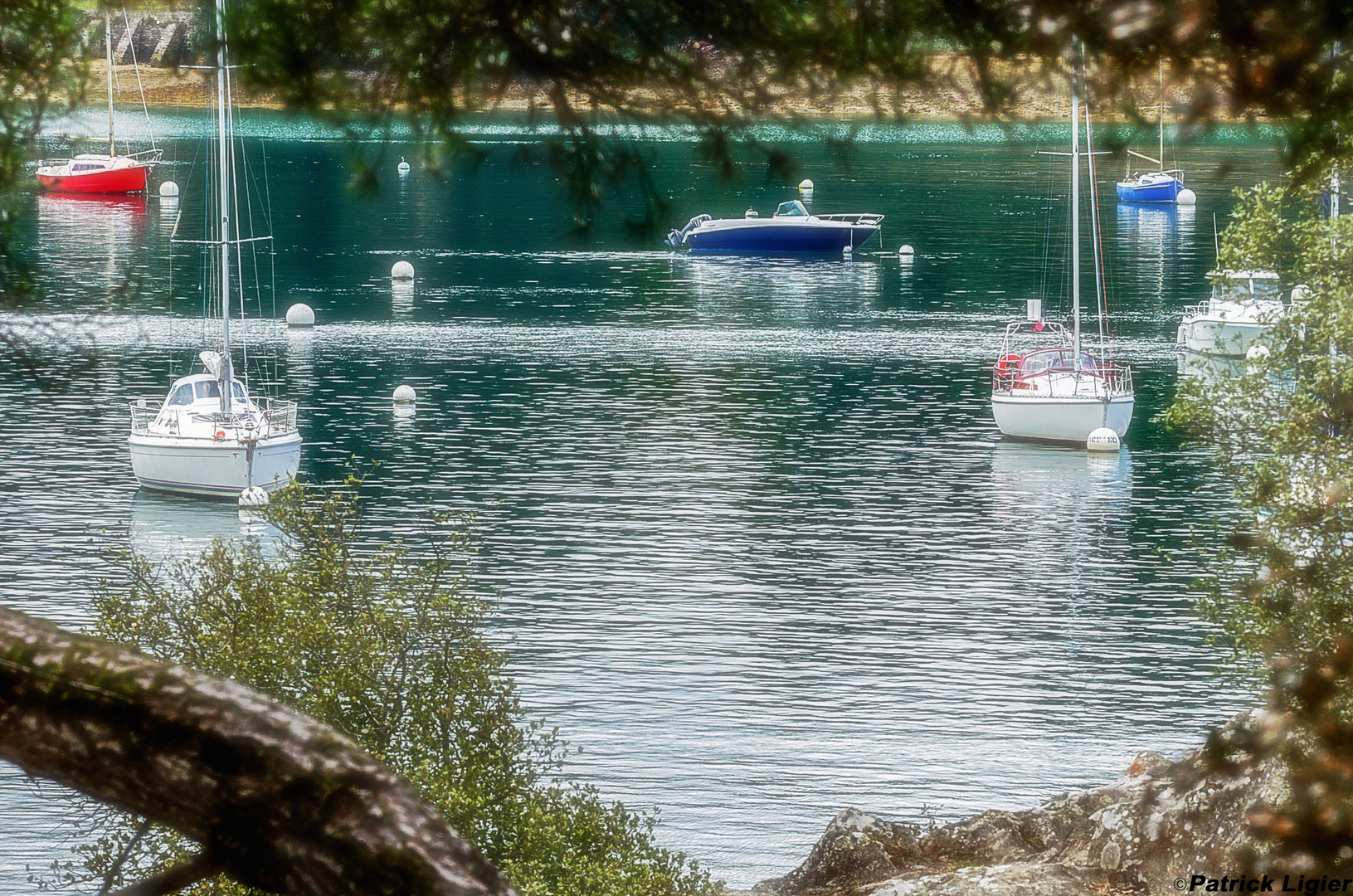 Bateaux de plaisance