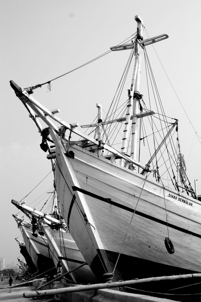 Bateaux des Bajo de MILAY84 