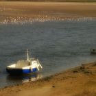 BATEAUX  EN ARRET 