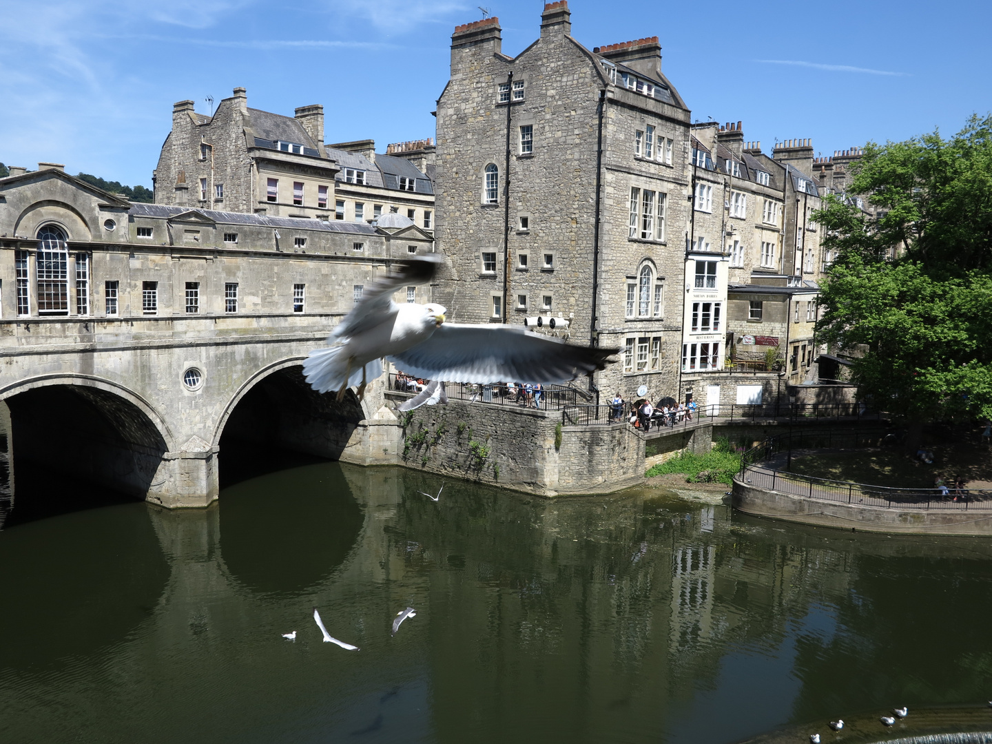 Bath (England)