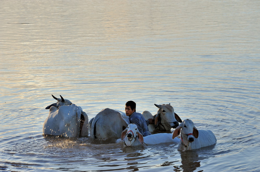 Bath in the Mekong