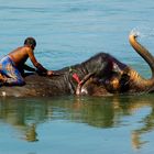 Bath of the elephant - panoramic