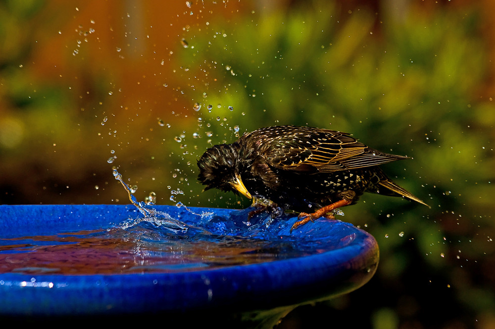 Bath time