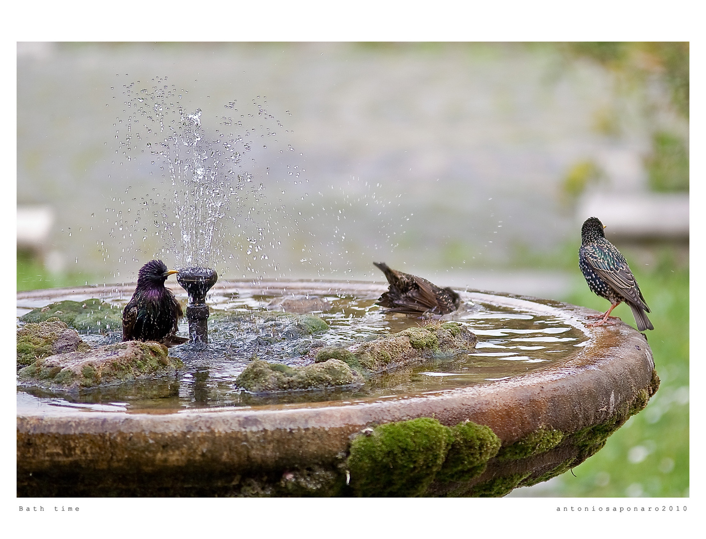 Bath time