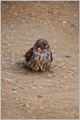 Bath Time