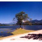 Bathaleagoda Lake in Kurunagala, Sri Lanka