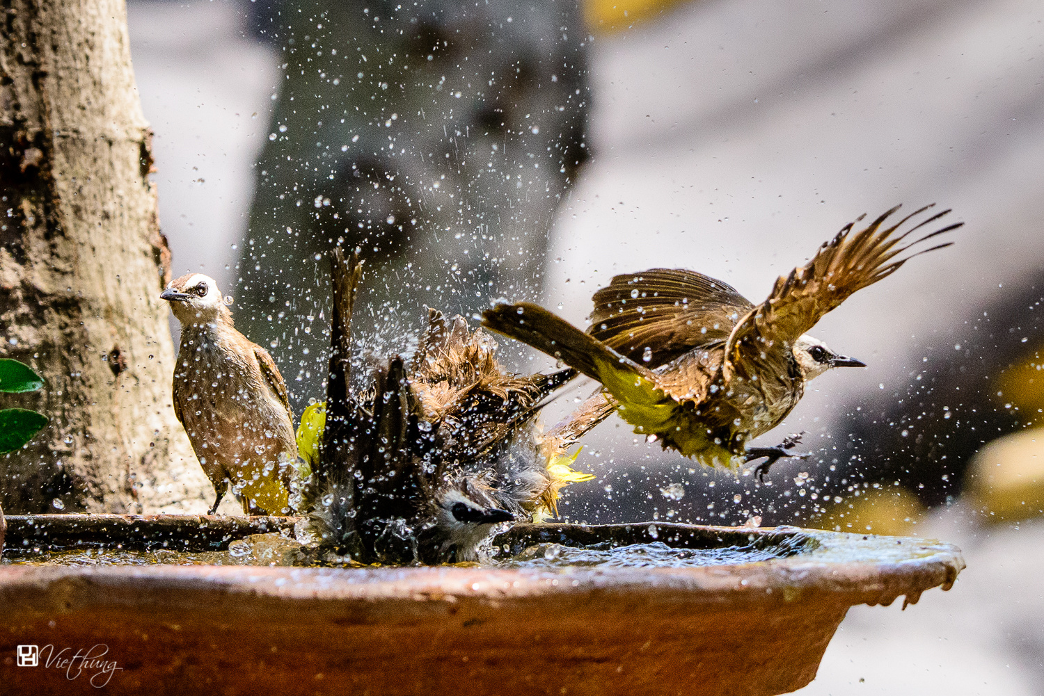 Bathing!