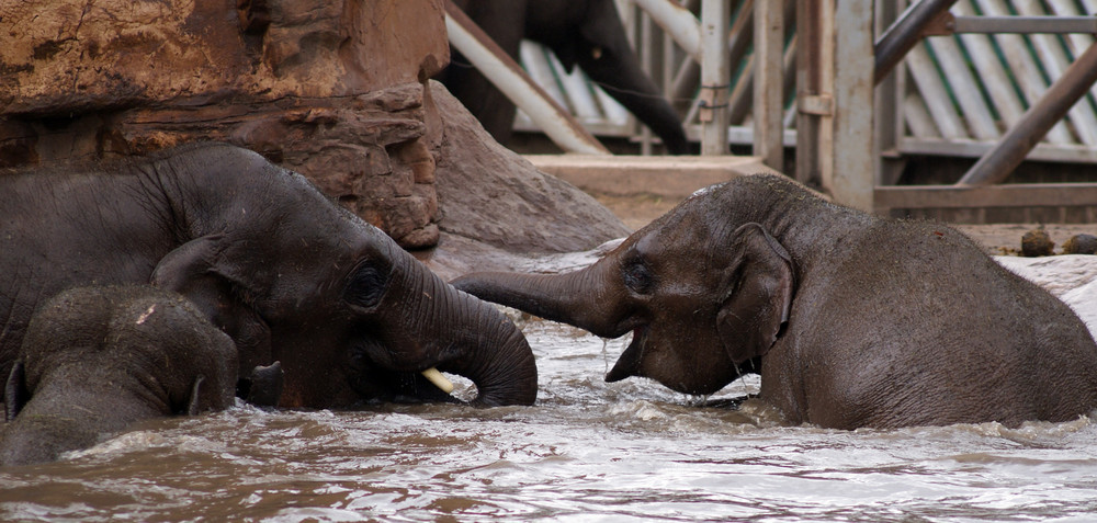 Bathtime!