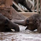 Bathtime!