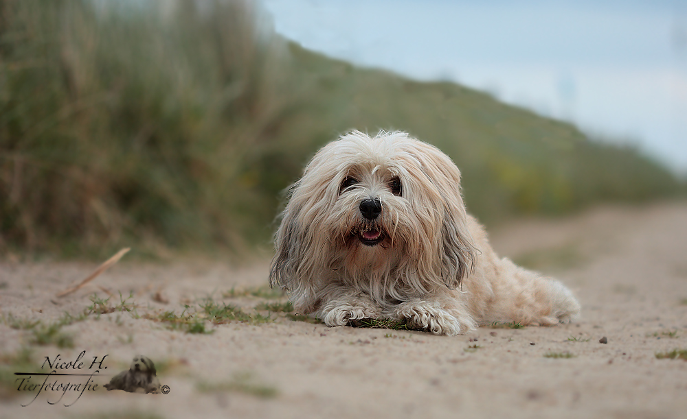 Batida an der Ostsee