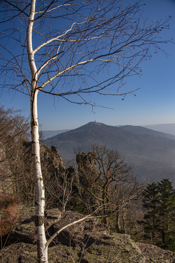 Battertfelsen in Baden-Baden