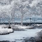 Battery Park