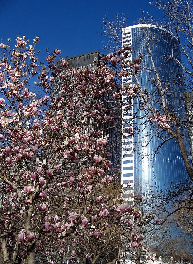 Battery Park