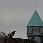 Battery Park Pier A