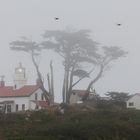 Battery Point Light (Kalifornien/USA)