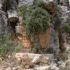 Battir -Steinformationen- -1-