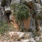 Battir -Steinformationen- -1-