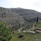 Battir  -Terrassengärten- 