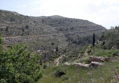 Battir  -Terrassengärten- 